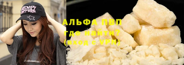 стафф Инта